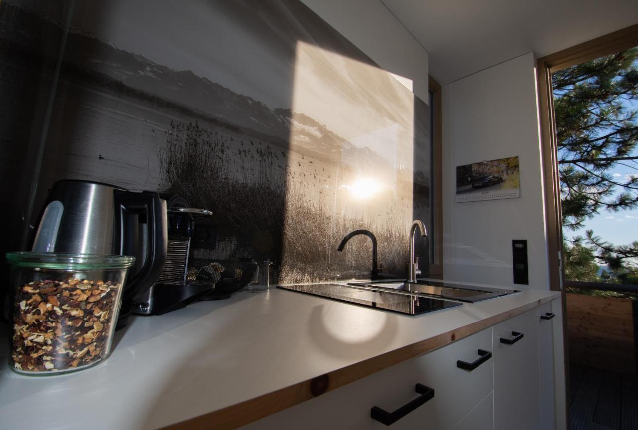 Appartement Traumblick Weinböhla Exteriér fotografie